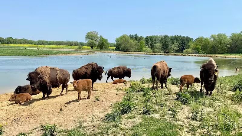 Wildlife Prairie Park - Hanna City, IL