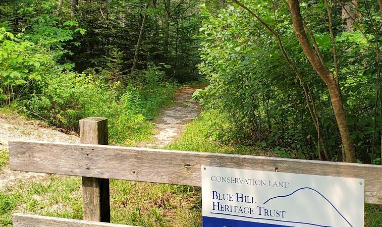 John B. Mountain - Blue Hill Heritage Trust - Harborside, ME