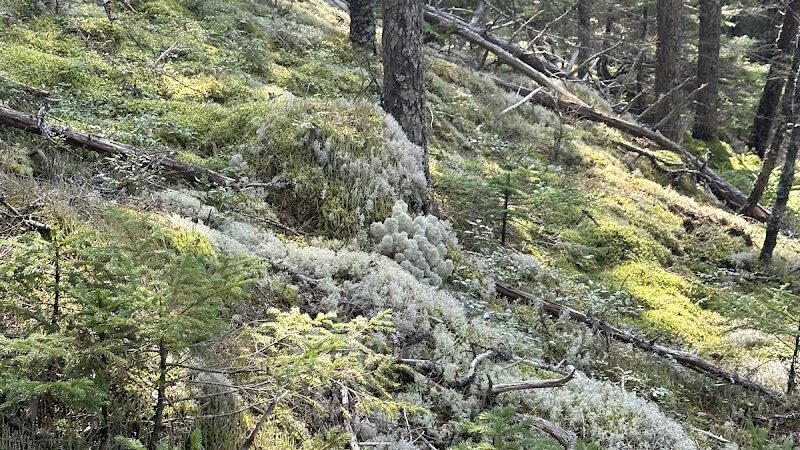 John B. Mountain - Blue Hill Heritage Trust - Harborside, ME