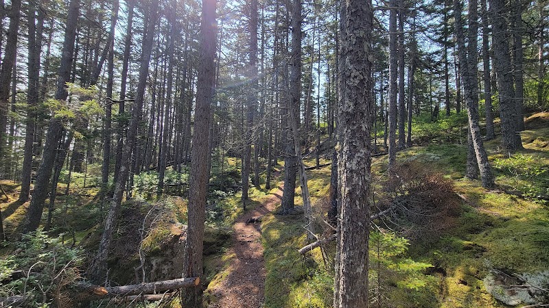 John B. Mountain - Blue Hill Heritage Trust - Harborside, ME