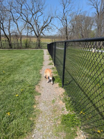Sam Michael’s Dog Park - Harpers Ferry, WV