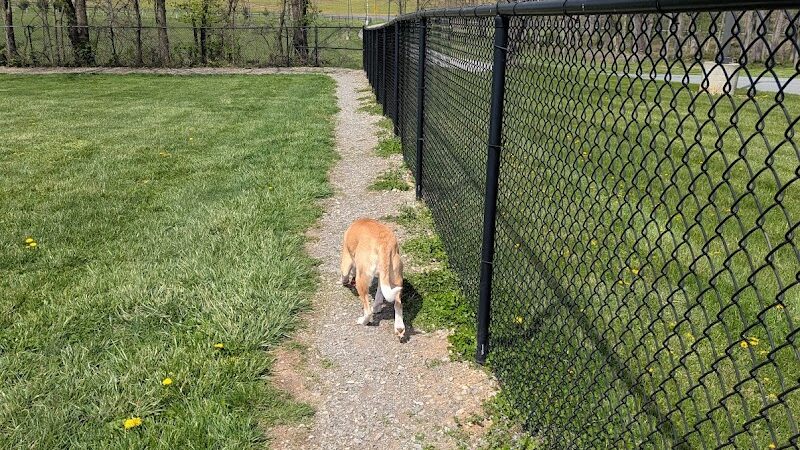 Sam Michael’s Dog Park - Harpers Ferry, WV