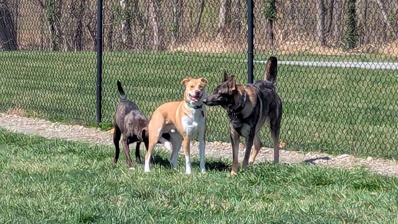 Sam Michael’s Dog Park - Harpers Ferry, WV