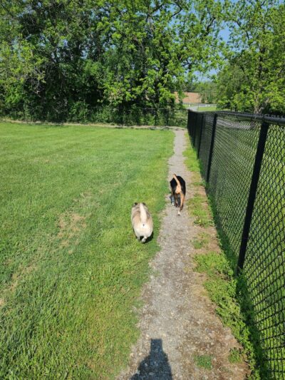 Sam Michael’s Dog Park - Harpers Ferry, WV