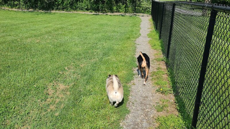 Sam Michael’s Dog Park - Harpers Ferry, WV