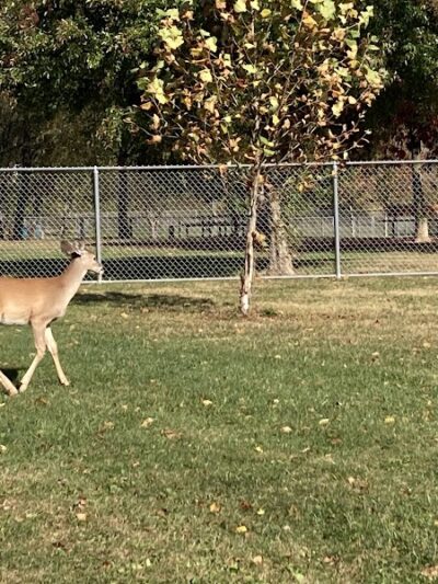 Penn Township Municipal Park Walking Trails - Harrison City, PA