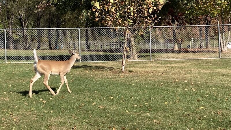Penn Township Municipal Park Walking Trails - Harrison City, PA