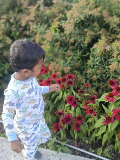 Bushnell Park - Hartford, CT