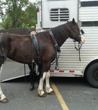 Barnard Park - Hartford, CT