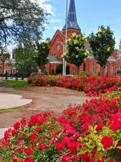 Barnard Park - Hartford, CT