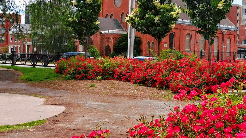 Barnard Park - Hartford, CT