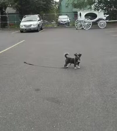 Barnard Park - Hartford, CT