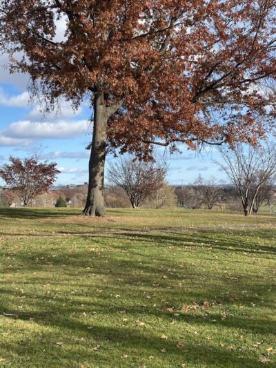 Colt Park - Hartford, CT