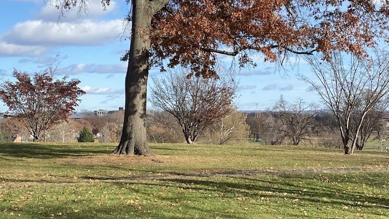 Colt Park - Hartford, CT