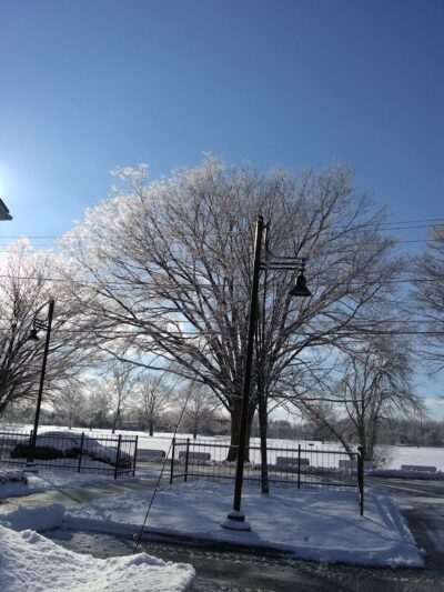 Colt Park - Hartford, CT