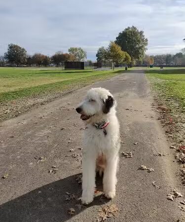 Colt Park - Hartford, CT