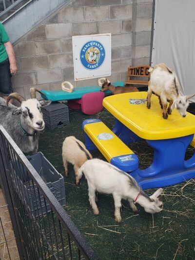 Dunkin' Park - Hartford, CT