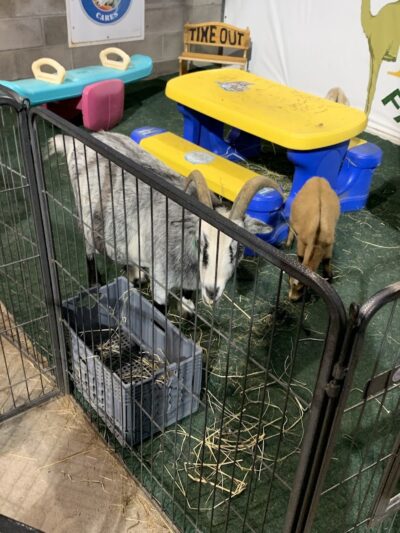 Dunkin' Park - Hartford, CT