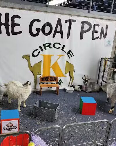 Dunkin' Park - Hartford, CT