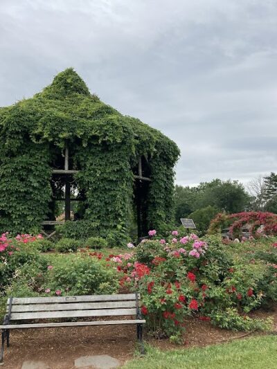 Elizabeth Park Rose Garden - Hartford, CT