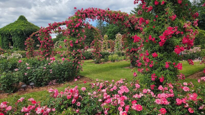 Elizabeth Park Rose Garden - Hartford, CT