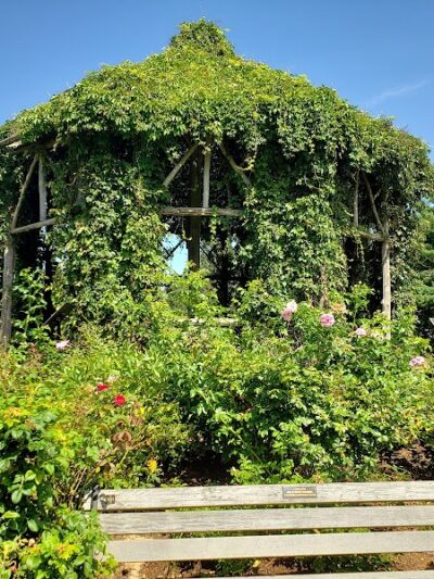 Elizabeth Park Rose Garden - Hartford, CT