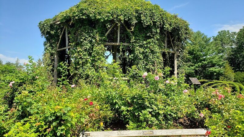 Elizabeth Park Rose Garden - Hartford, CT