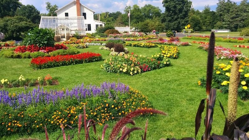 Elizabeth Park Rose Garden - Hartford, CT