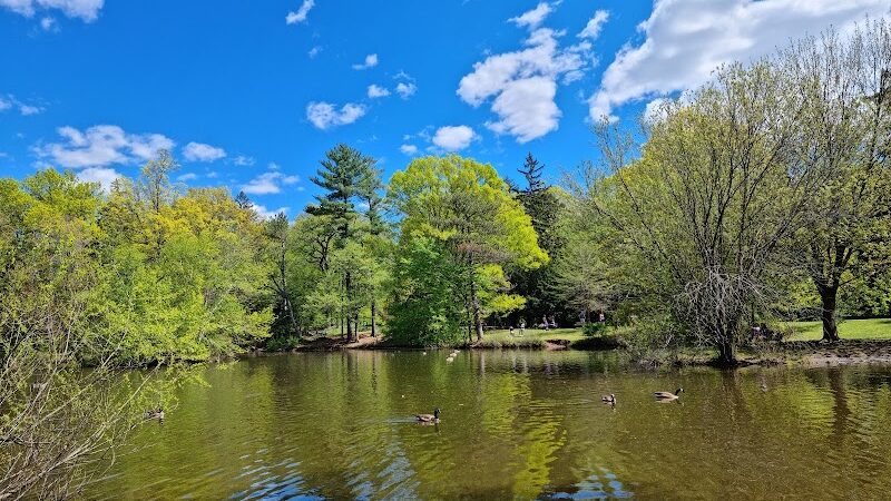 Elizabeth Park Rose Garden - Hartford, CT