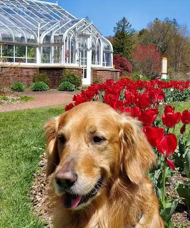 Elizabeth Park Rose Garden - Hartford, CT