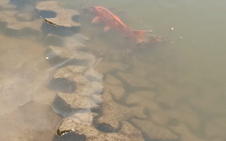 Elizabeth Park Sunrise Overlook - Hartford, CT
