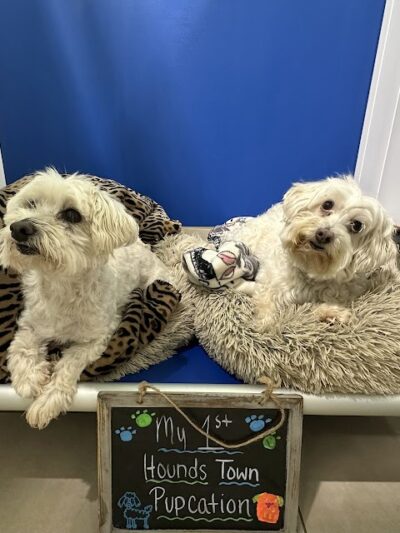 Hounds Town Hartford - Hartford, CT