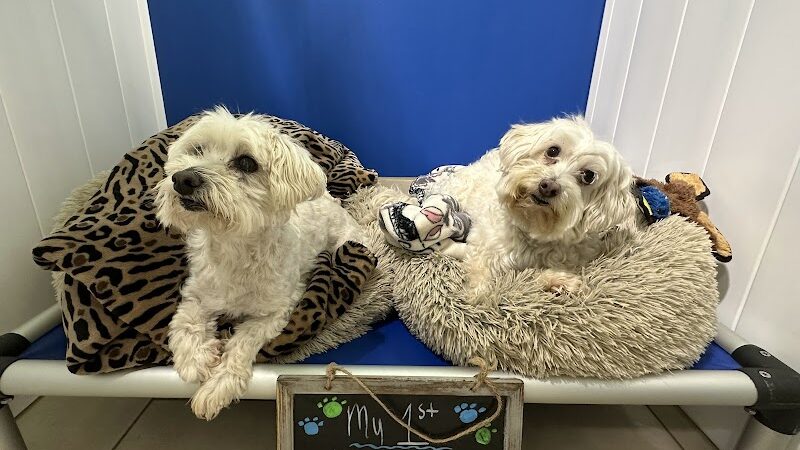 Hounds Town Hartford - Hartford, CT