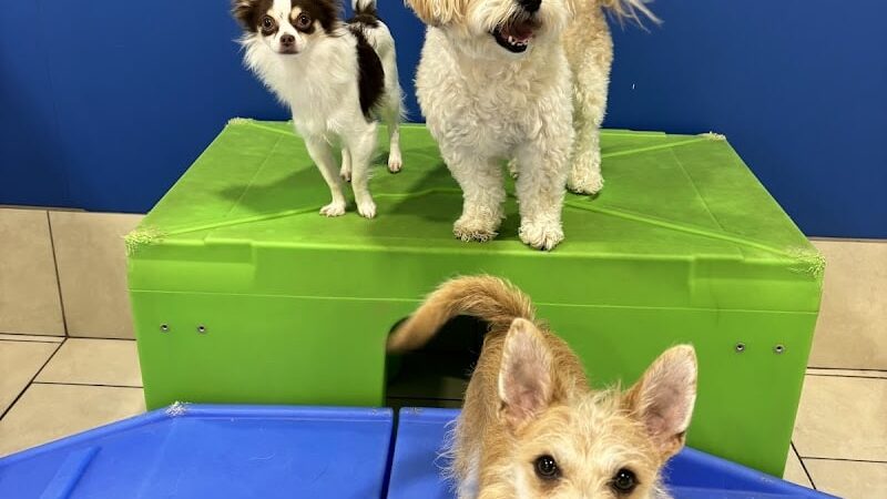 Hounds Town Hartford - Hartford, CT