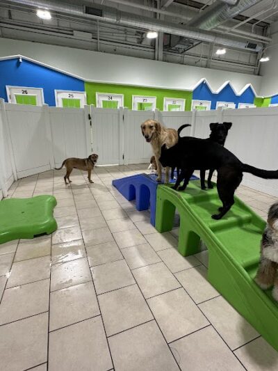 Hounds Town Hartford - Hartford, CT