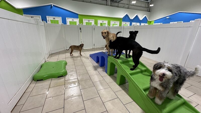 Hounds Town Hartford - Hartford, CT