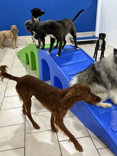 Hounds Town Hartford - Hartford, CT