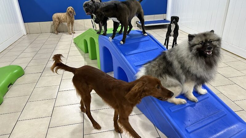 Hounds Town Hartford - Hartford, CT