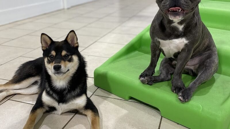 Hounds Town Hartford - Hartford, CT