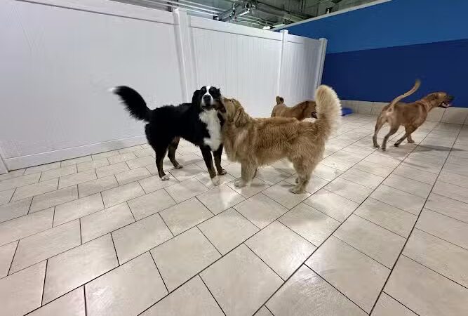 Hounds Town Hartford - Hartford, CT