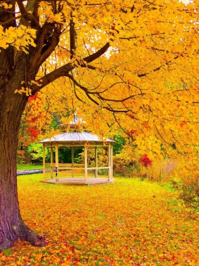 Keney Park Woodland Entrance - Hartford, CT
