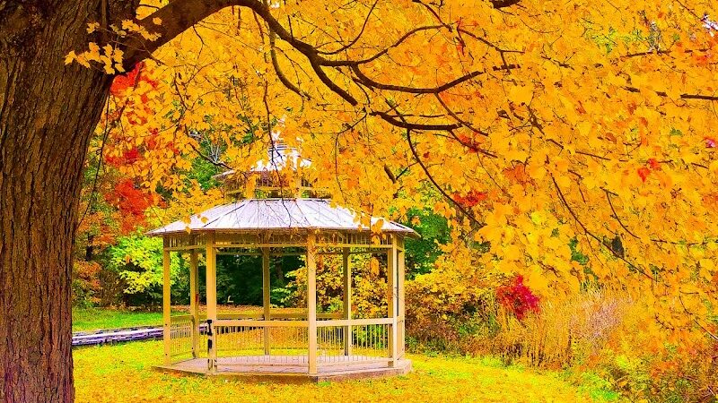 Keney Park Woodland Entrance - Hartford, CT