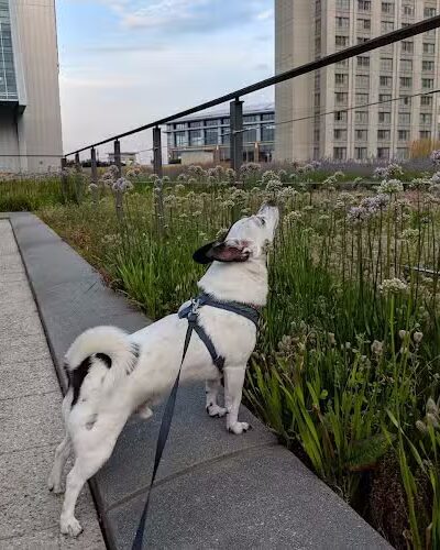 Mortensen Riverfront Plaza - Hartford, CT