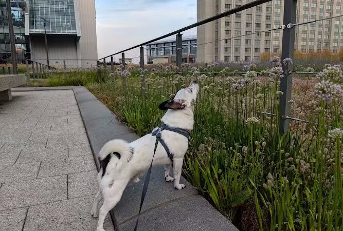 Mortensen Riverfront Plaza - Hartford, CT