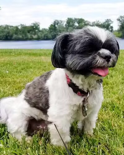 Riverside Park - Hartford, CT