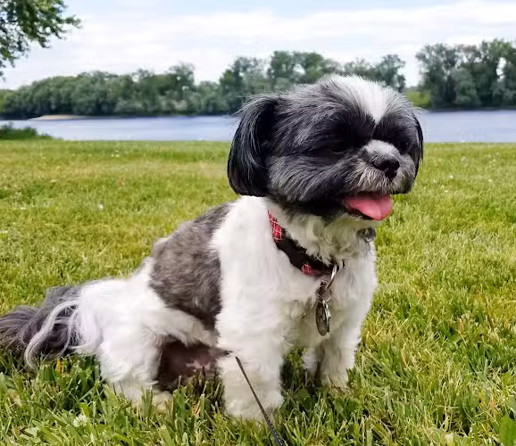 Riverside Park - Hartford, CT