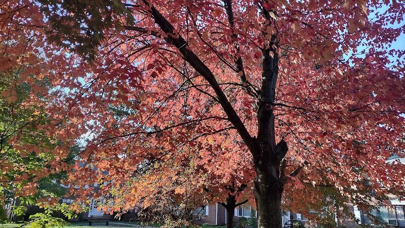 West Hartford Parks - Hartford, CT