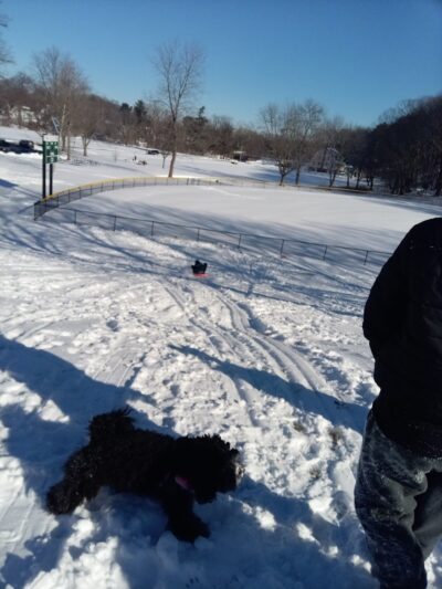 West Hartford Parks - Hartford, CT