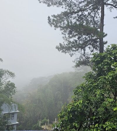 West Hartford Parks - Hartford, CT