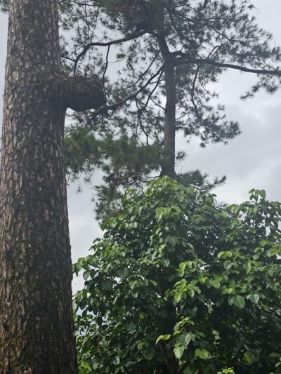 West Hartford Parks - Hartford, CT